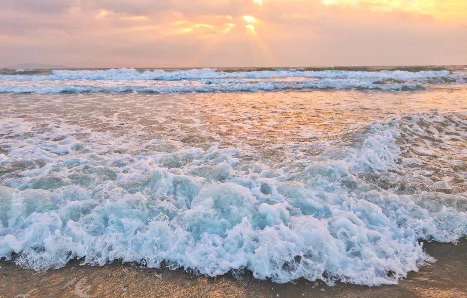 逃离水虎鱼湖