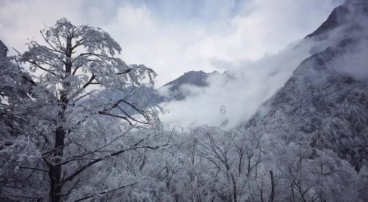 虎胆熊威2中文无敌版