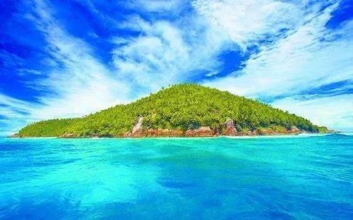 动物滑动拼图
