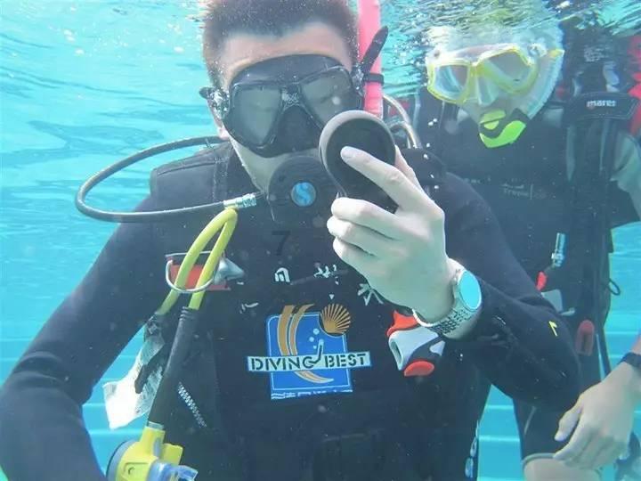 赤麻鸭现身青海门源县