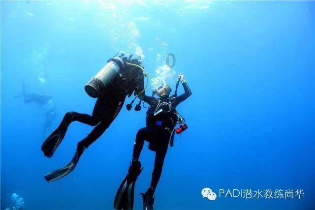逗小猴开心系列203