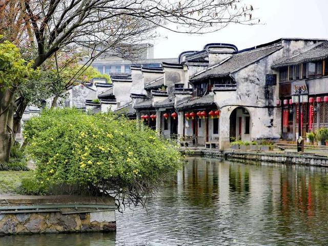 高级定制