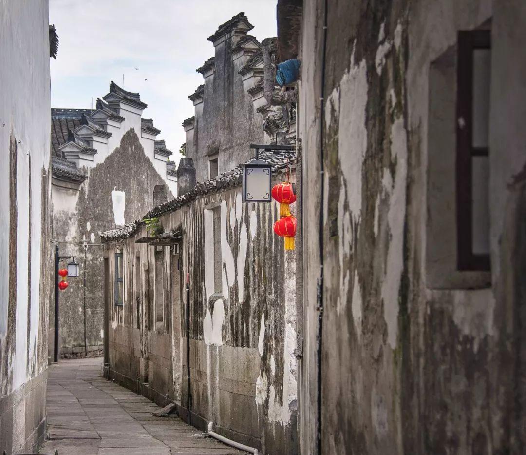 熊出没夺宝历险