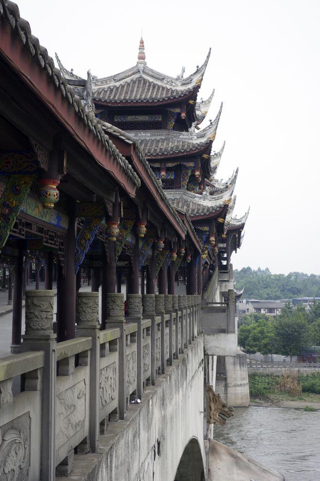 放飞笼中鸟